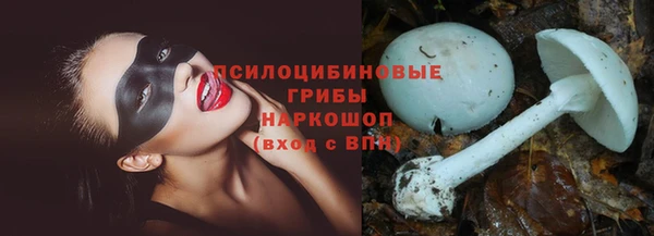 дживик Зеленодольск
