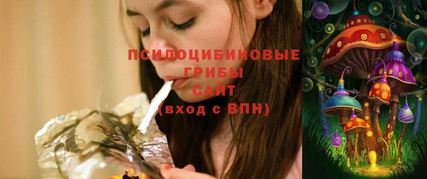 дживик Зеленодольск